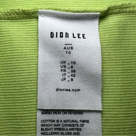 Dion Lee Interlink Mini Dress in Washed Light Zest